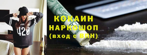 гидра Володарск