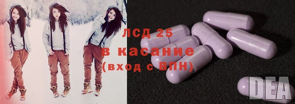 гидра Володарск