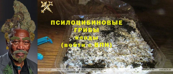 гидра Володарск