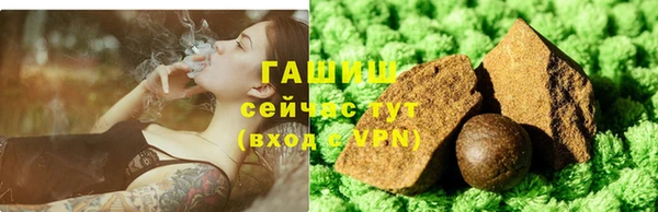 шишки Покачи