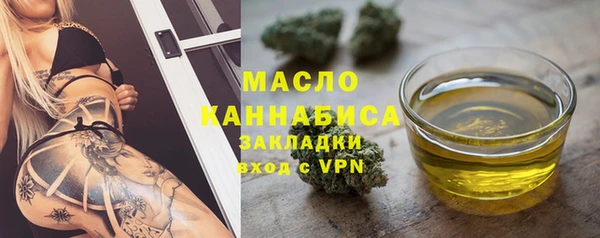 гидра Володарск