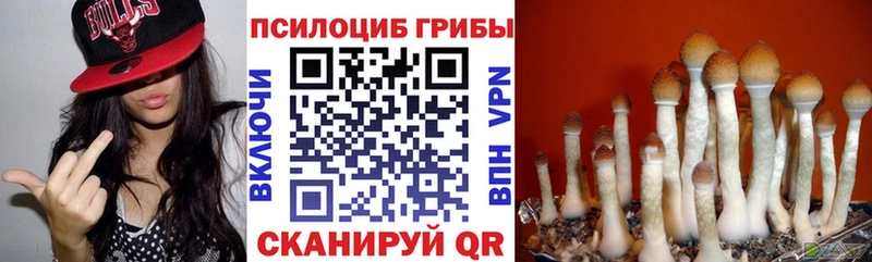 Псилоцибиновые грибы прущие грибы  даркнет состав  Всеволожск 